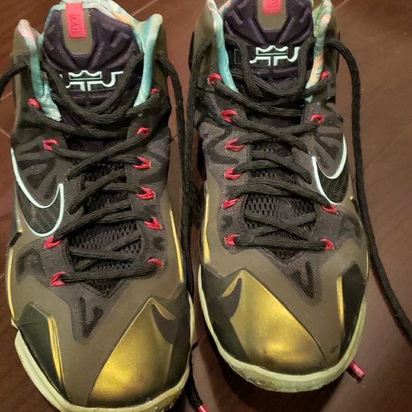 lebron james sneakers nike